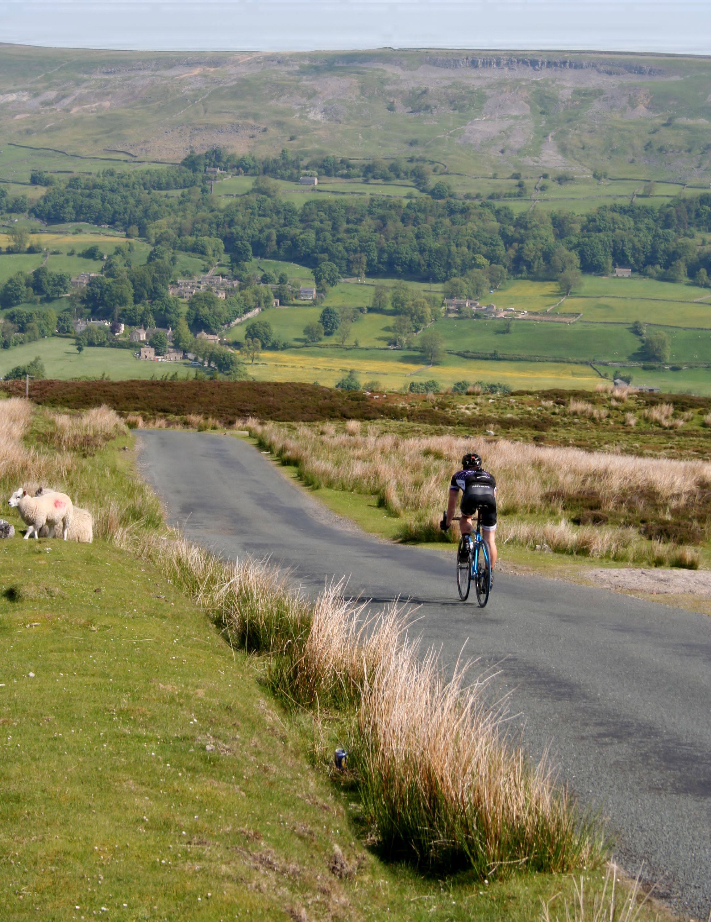 Cyclist