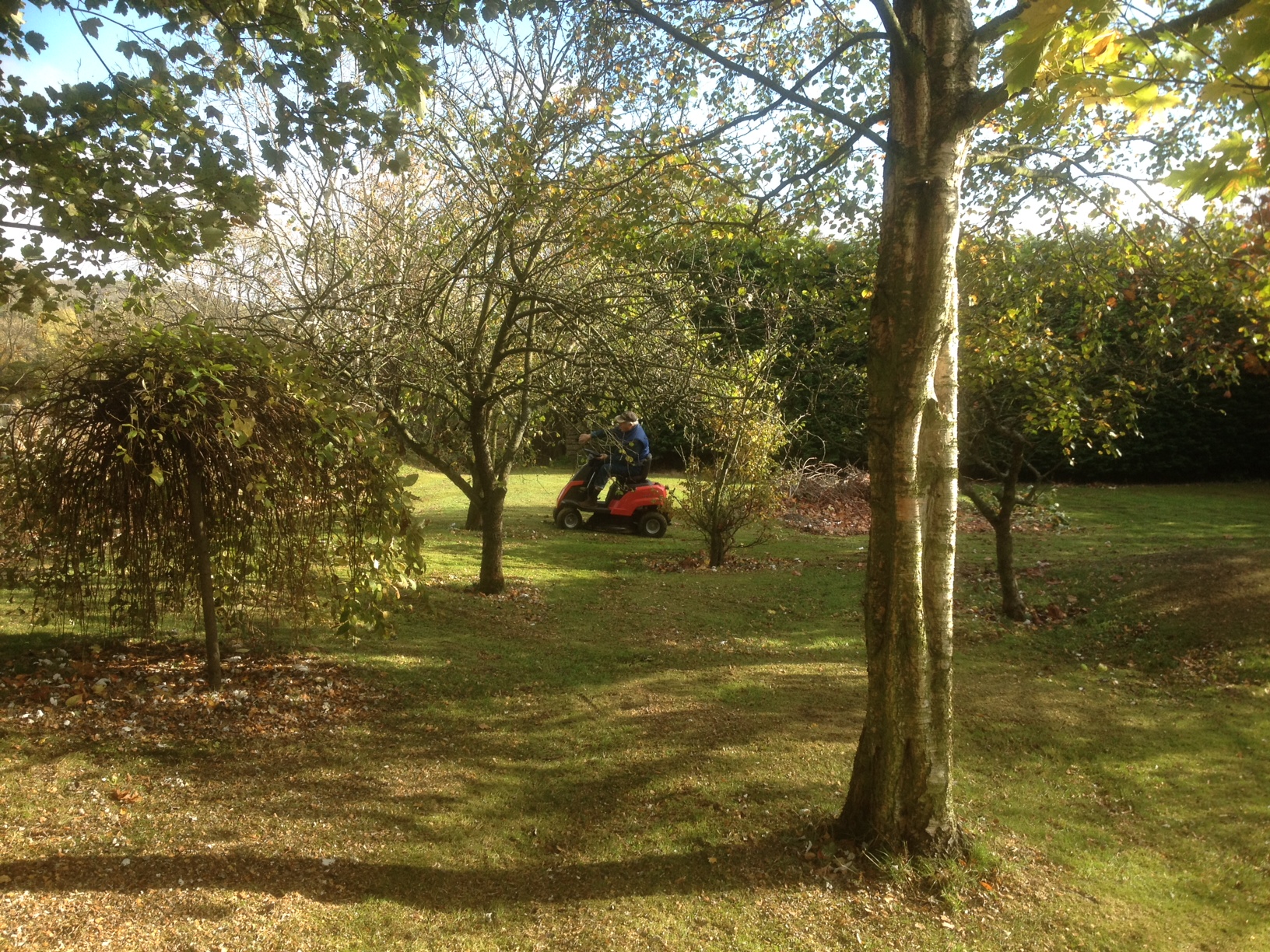 Flax Mill Orchard in Autumn